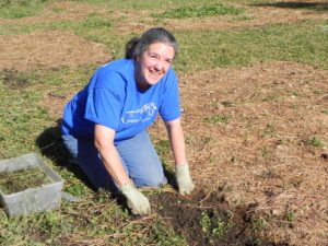 WOMAN KNEELING AND SMILING WHILE TRANSPLANTING YOUNG SHEEP SORREL PLANTS IN ROWS