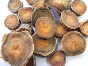 TURKEY RHUBARB ROOT SLICES