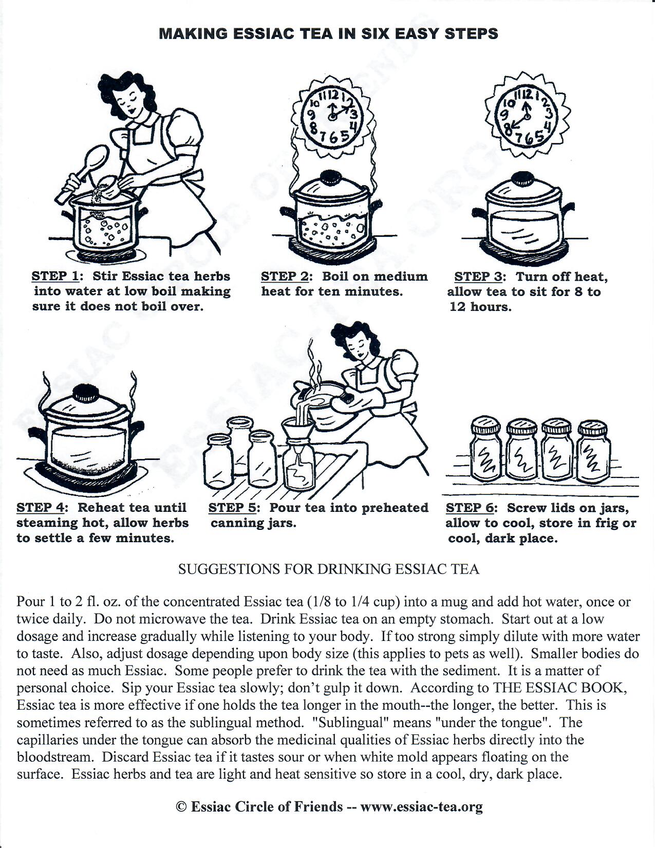 DRAWING SHOWING SIX STEPS HOW TO MAKE ESSIAC TEA, ADDING HERBS TO ONE GALLON WATER, BOILING TEN MINUTES, SIT FOR 8 HOURS, HEAT TO STEAMING, POUR IN CANNING JARS, STORE IN FRIG