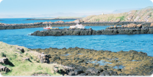 AREA WHERE KELP IS HARVESTED IN NORTHWEST ICELAND IN UNPOLLUTED BLUE WATERS