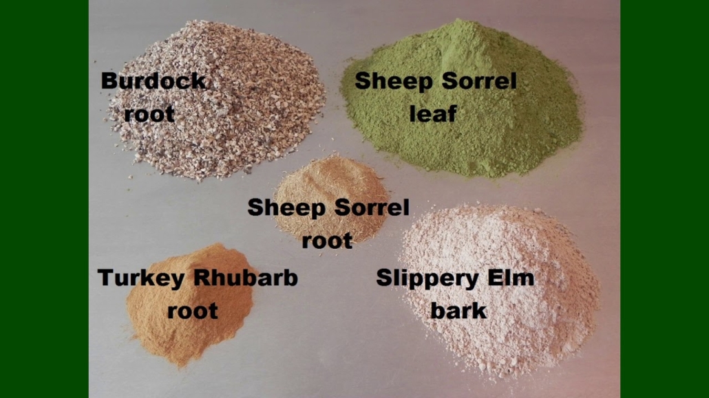 OUR FOUR ESSIAC TEA HERBS WITH GREEN SHEEP SORREL LEAF, BURDOCK ROOT, SLIPPERY ELM BARK, TURKEY RHUBARB ROOT AND SHEEP SORREL ROOT SHOWING THEIR CORRECT PROPORTIONS