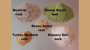 OUR FOUR ESSIAC TEA HERBS WITH GREEN SHEEP SORREL LEAF, BURDOCK ROOT, SLIPPERY ELM BARK, TURKEY RHUBARB ROOT AND SHEEP SORREL ROOT SHOWING THEIR CORRECT PROPORTIONS